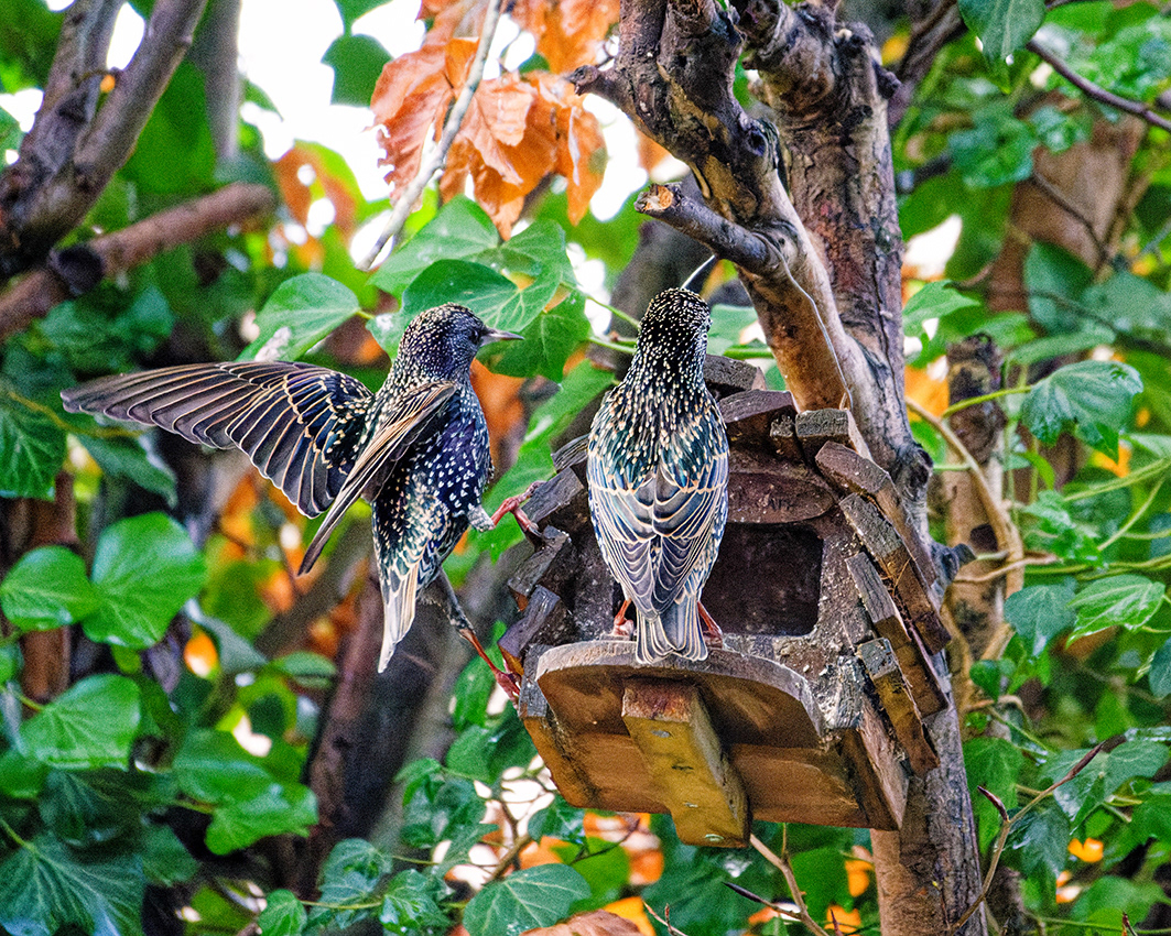 12-12-23 - Incoming.