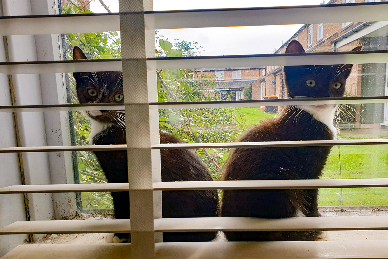 18-10-23 - Rodney and Dave (Again!).