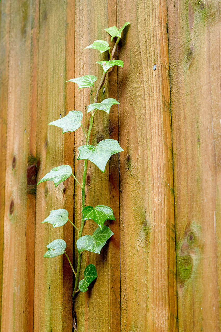 17-11-23 - Intruder.