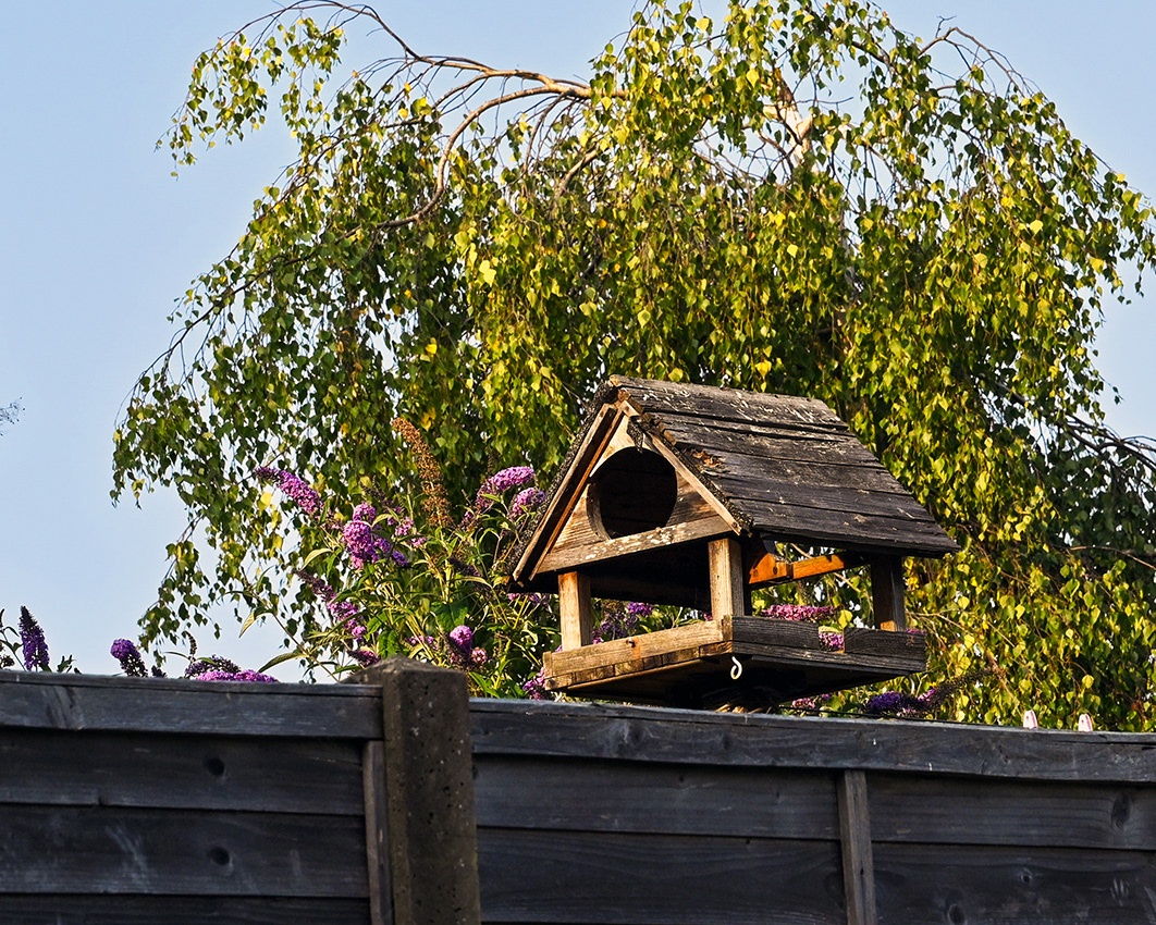 22-07-26 - Birdhouse.