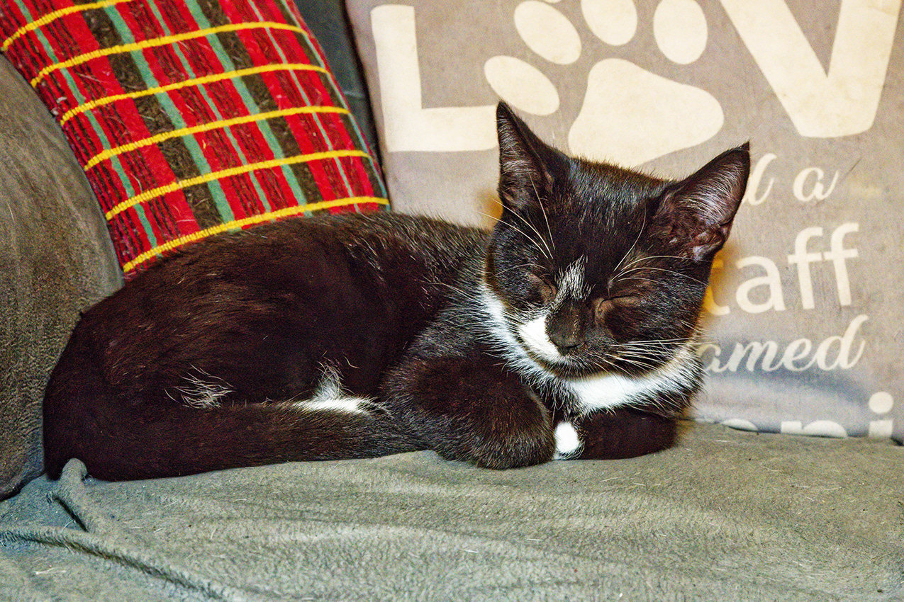 30-12-23 . . . Asleep.