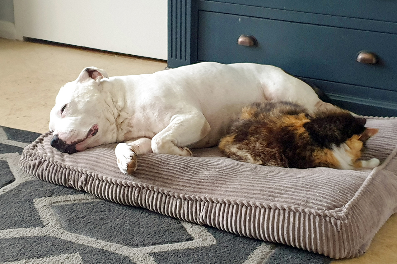 27-09-23 - Best pals.