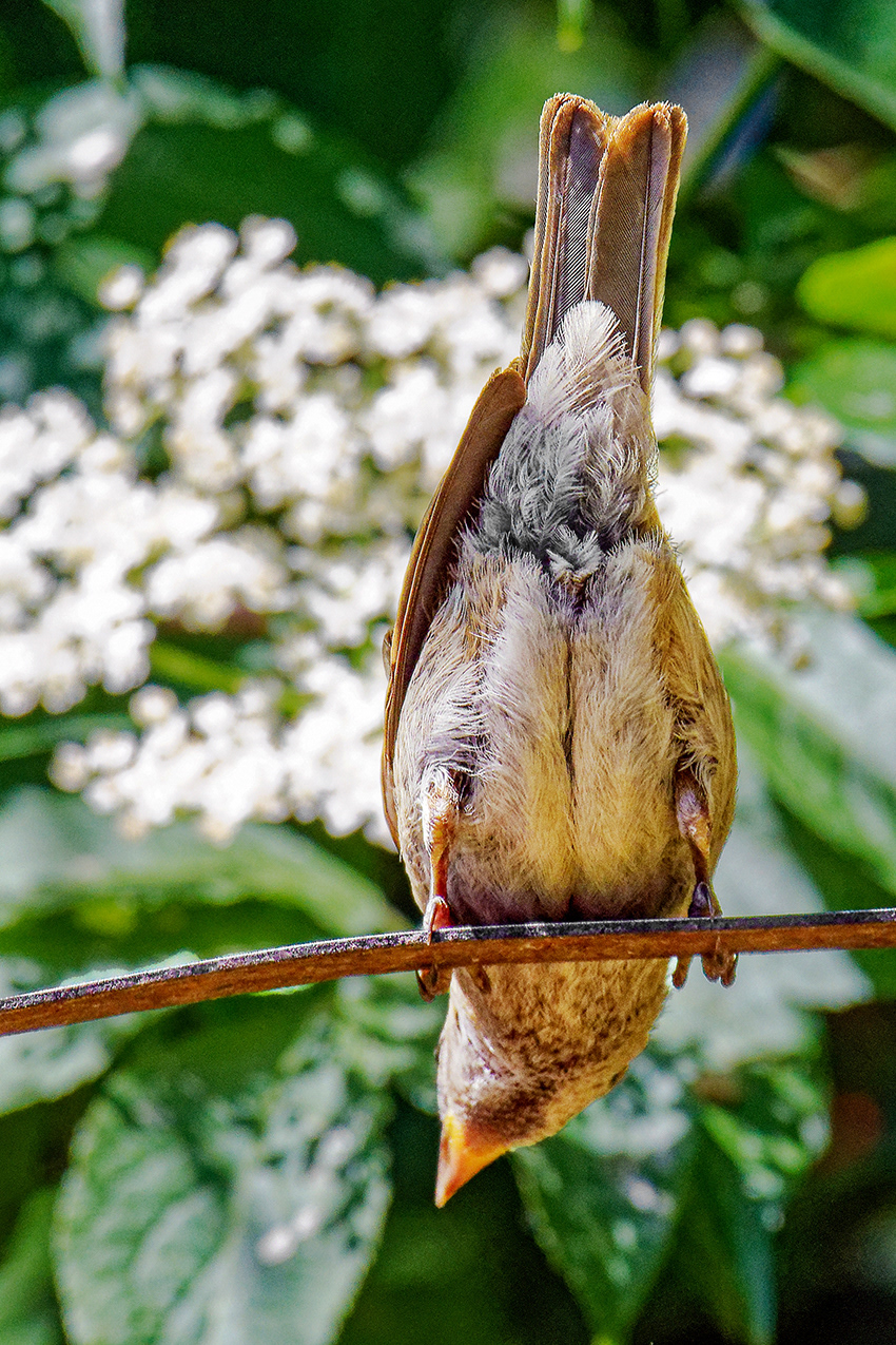 15-06-23 - Faceless.