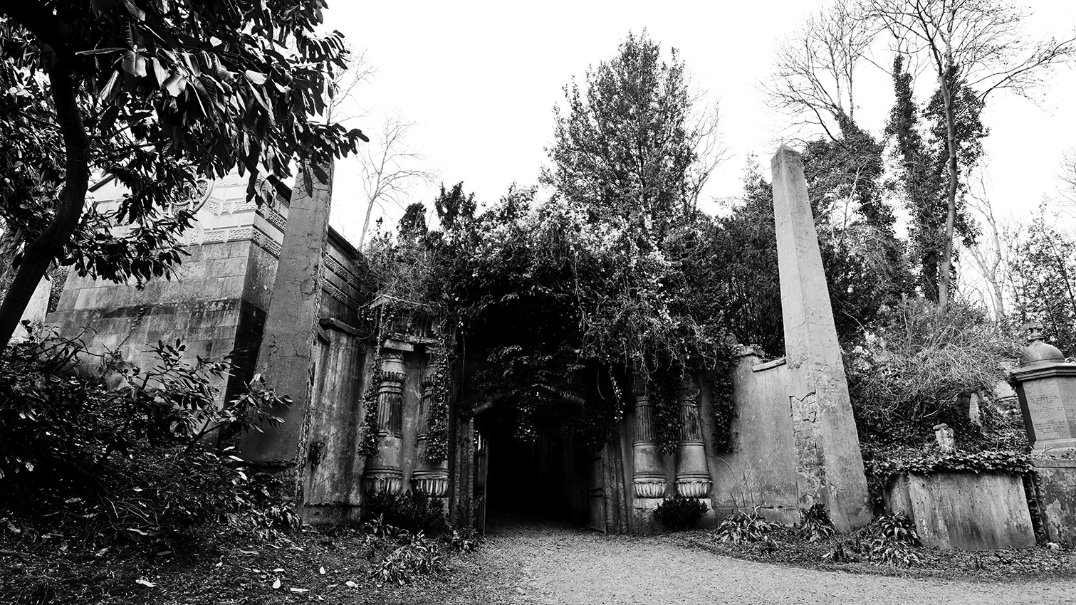 The Entrance.