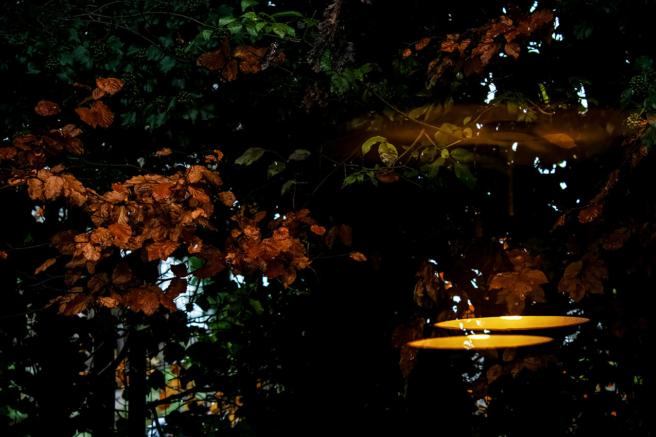 25-11-23 - Reflections.