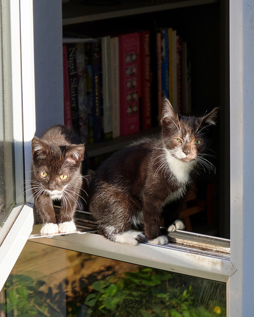 27-10-23 - Going out.