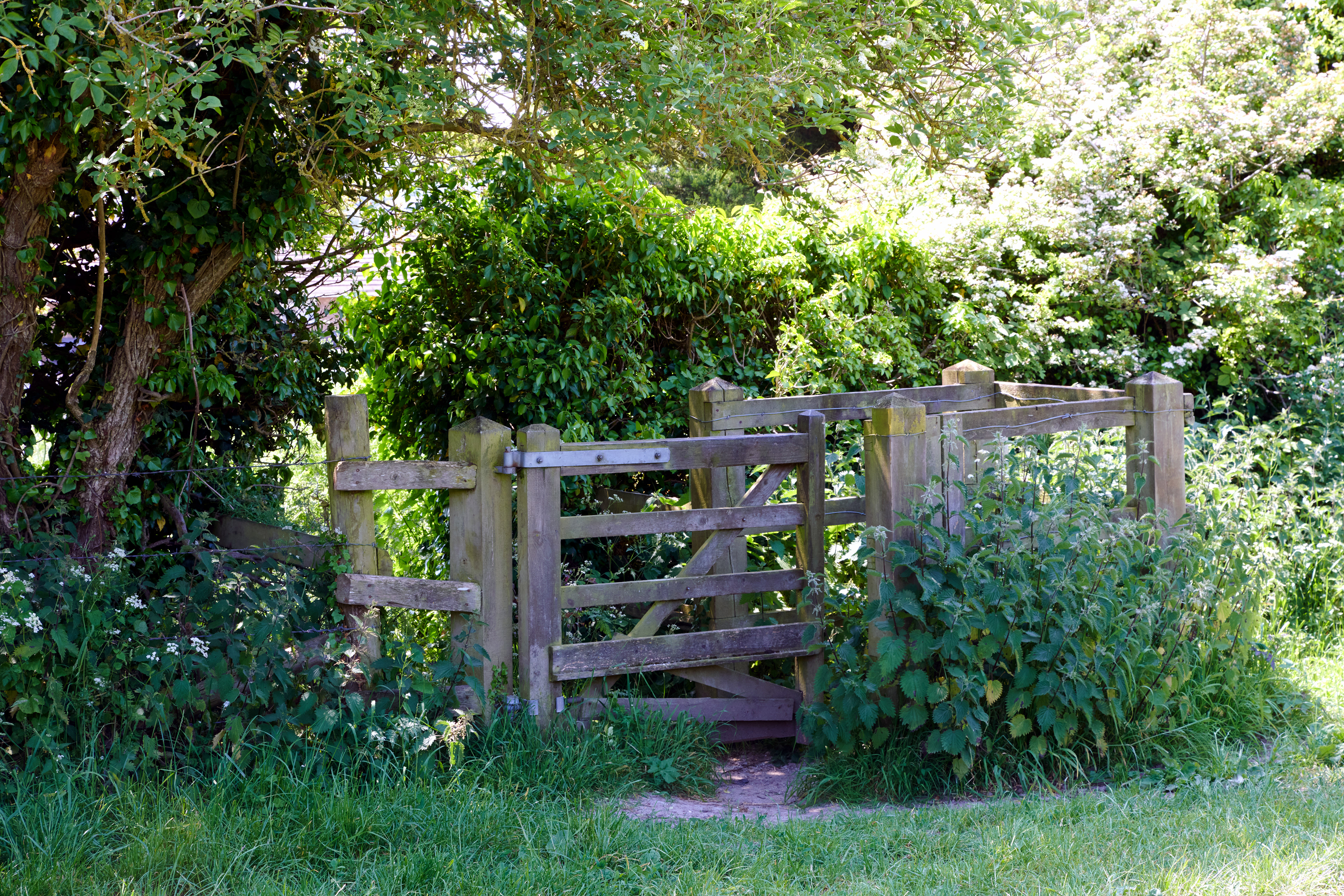 08-06-23 - Gate.