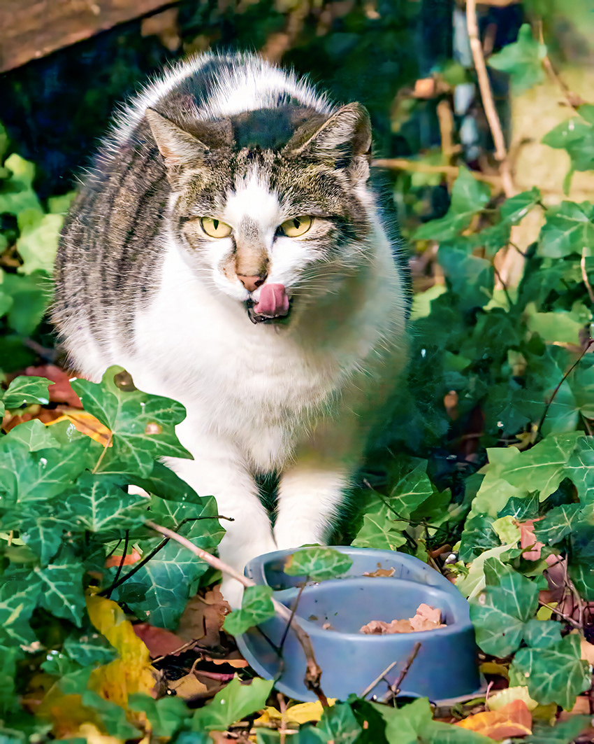 13-11-23 - Al fresco.