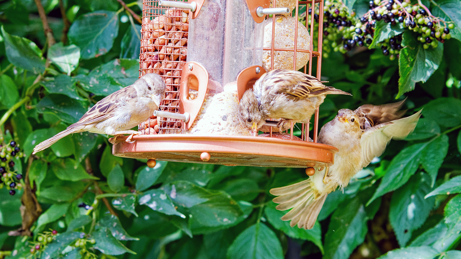 26-08-23 - Incoming.