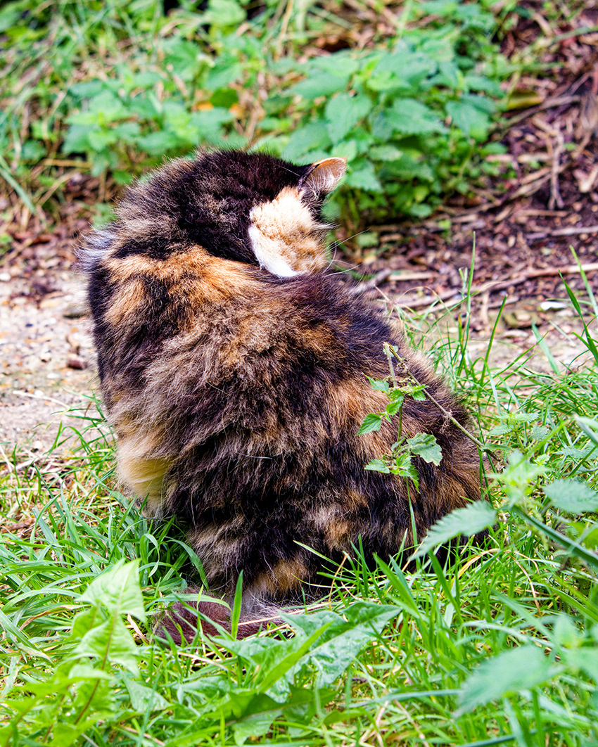 19-09-23 - The other cheek.