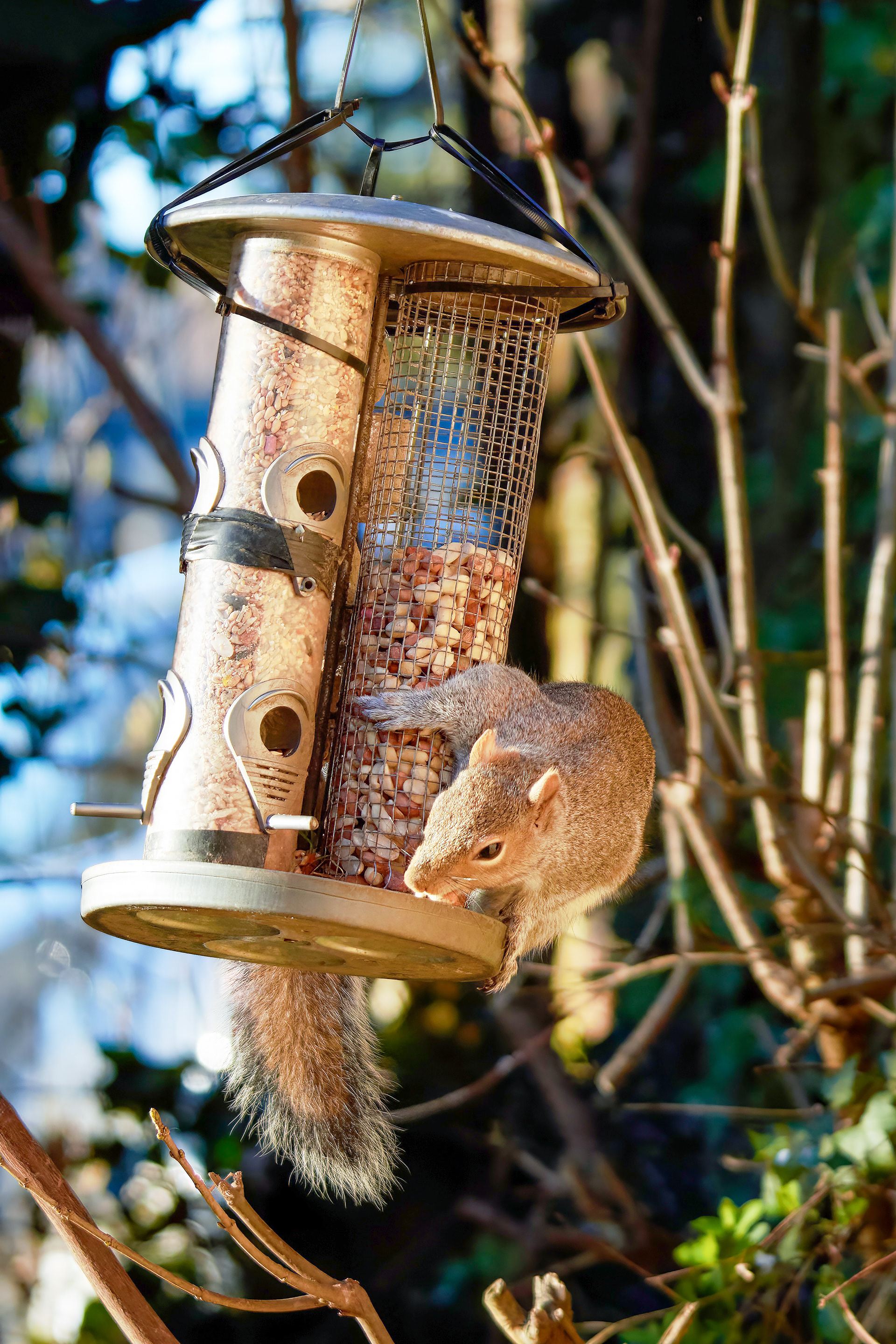 19-02-23 - Golden Hour.