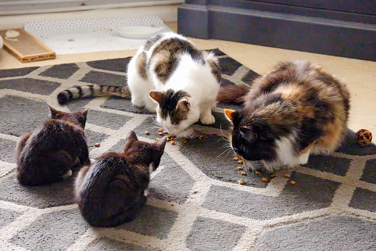 28-10-23 - The Gang.