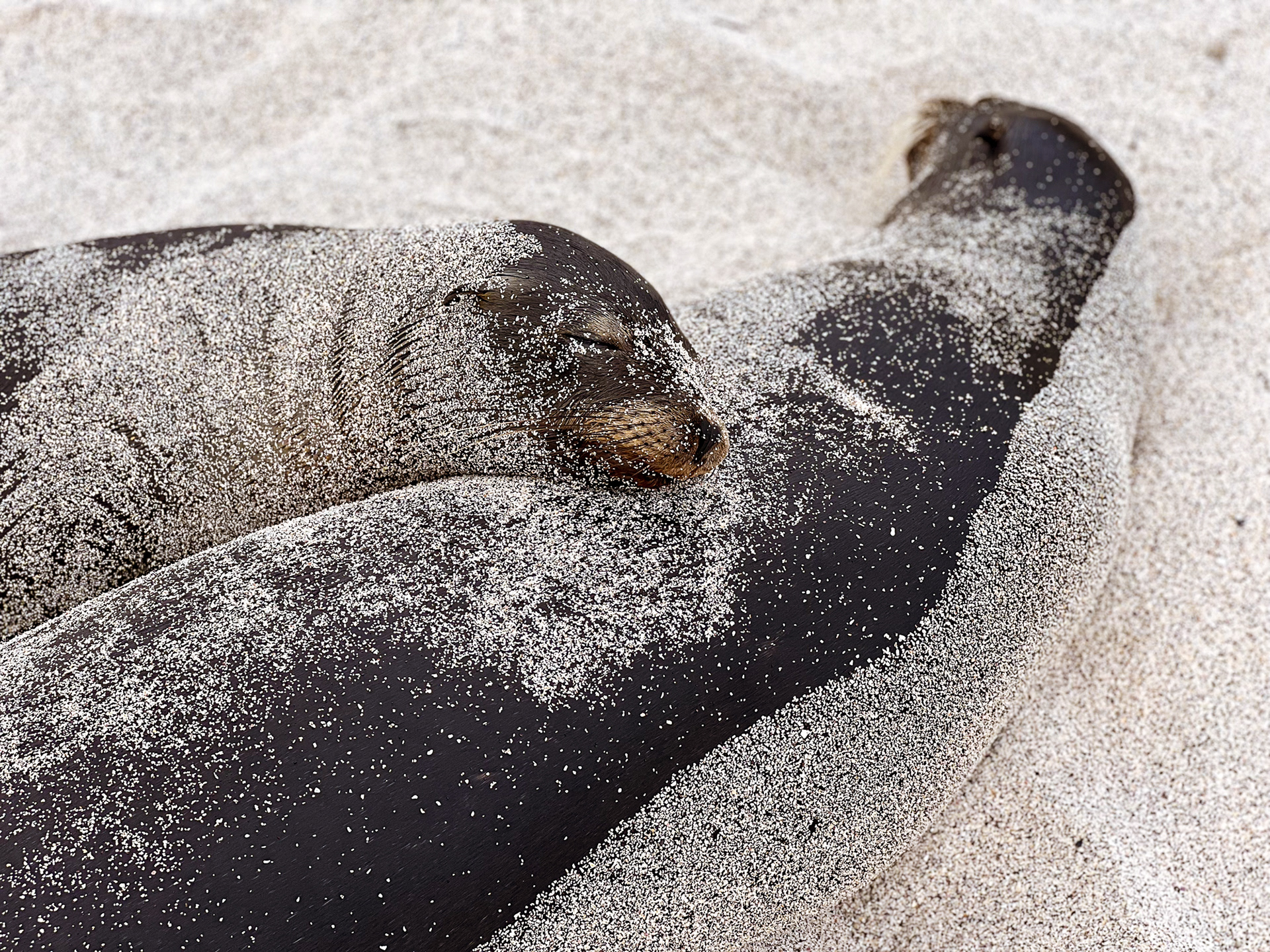 San Cristobal, Galapagos (2022)