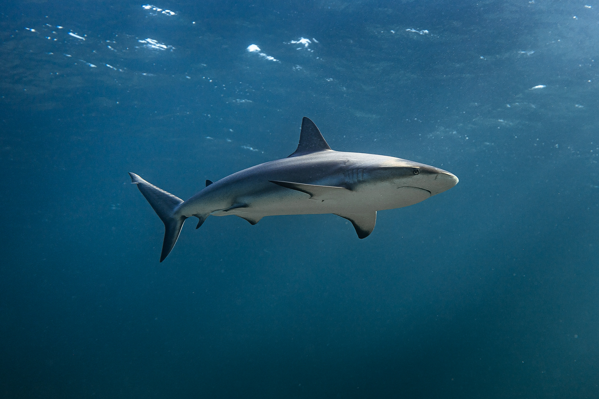 The Exumas, Bahamas (2022)