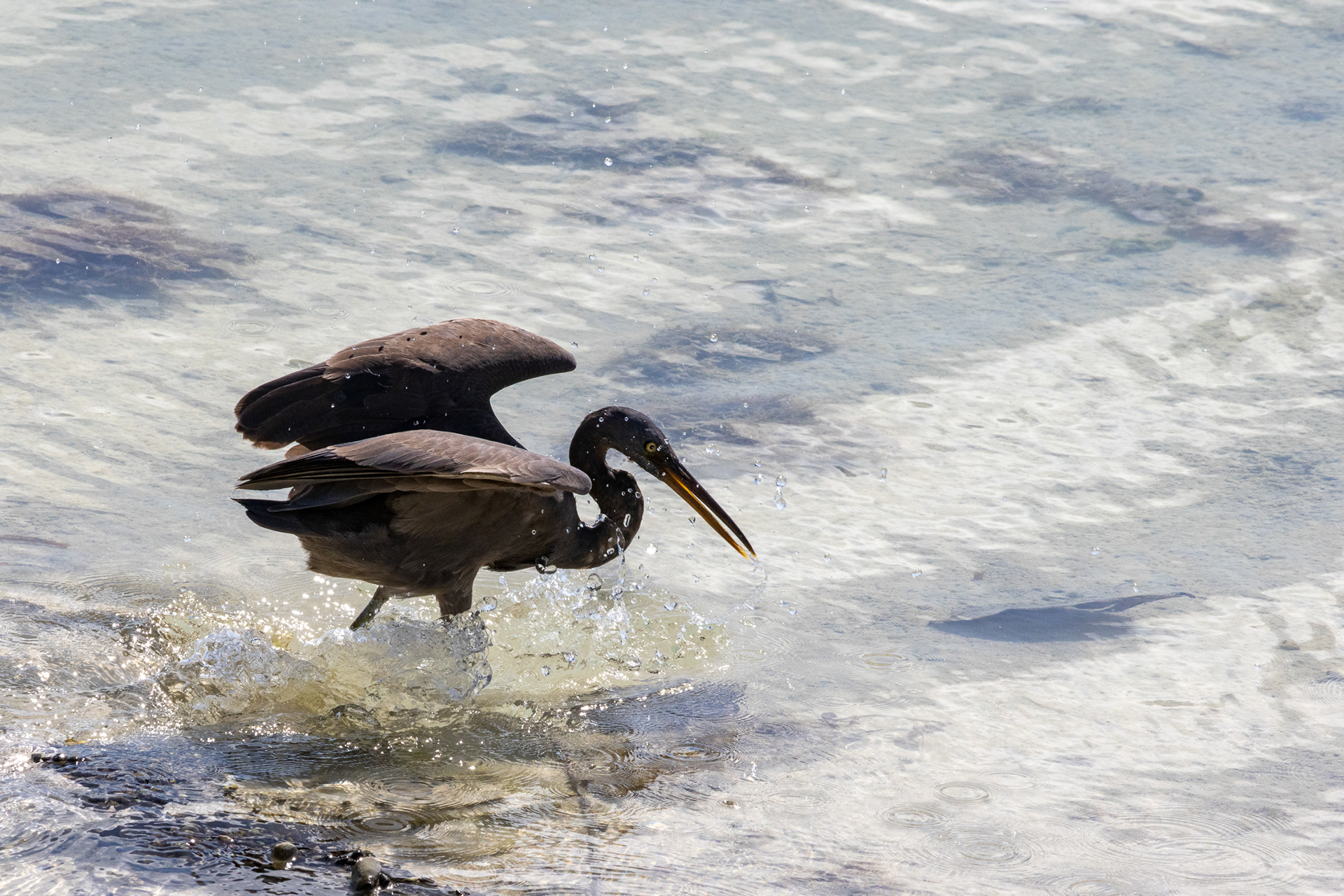 Abaiang Island, Kiribati (2023)