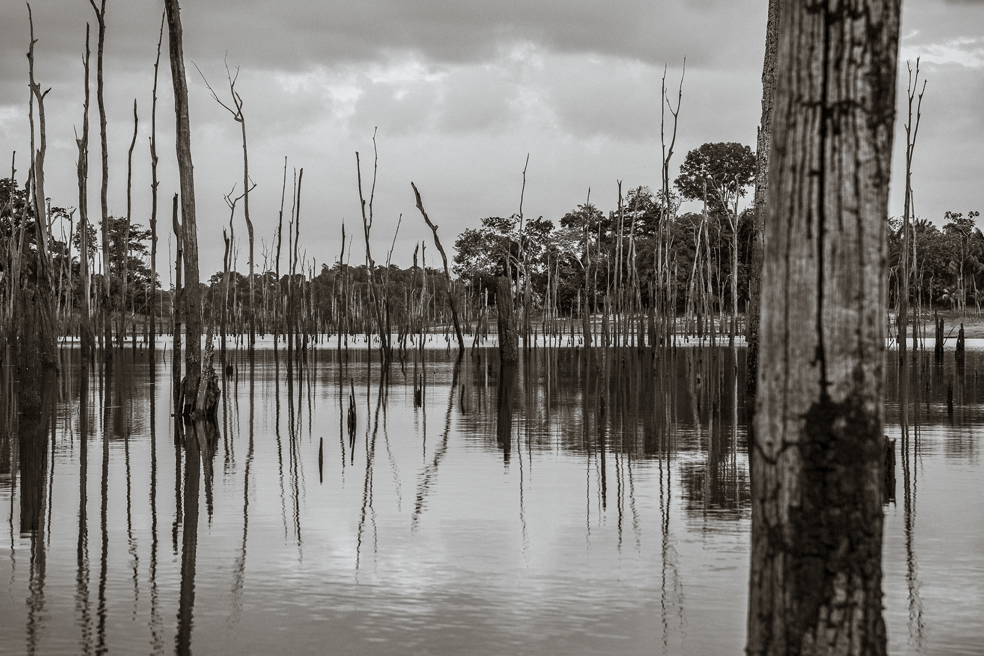 Stone Island, Suriname (2020)