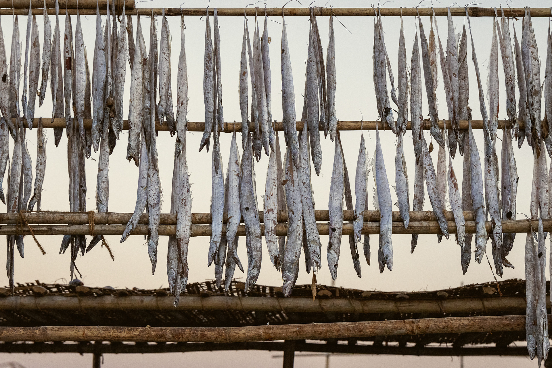 Sundarban, Bangladesh (2022)