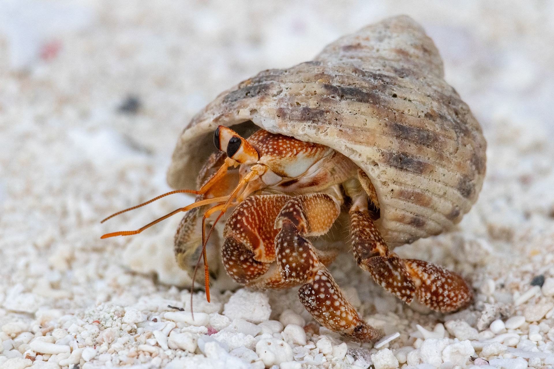 Tarawa, Kiribati (2023)