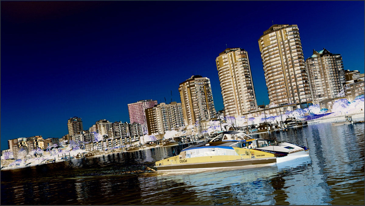 Citycat No. 5