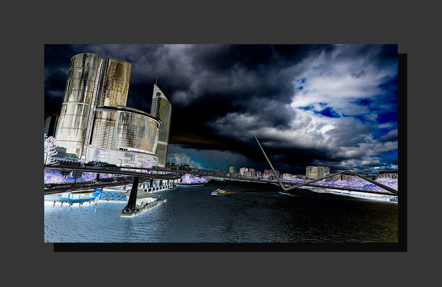 Citycat No. 8