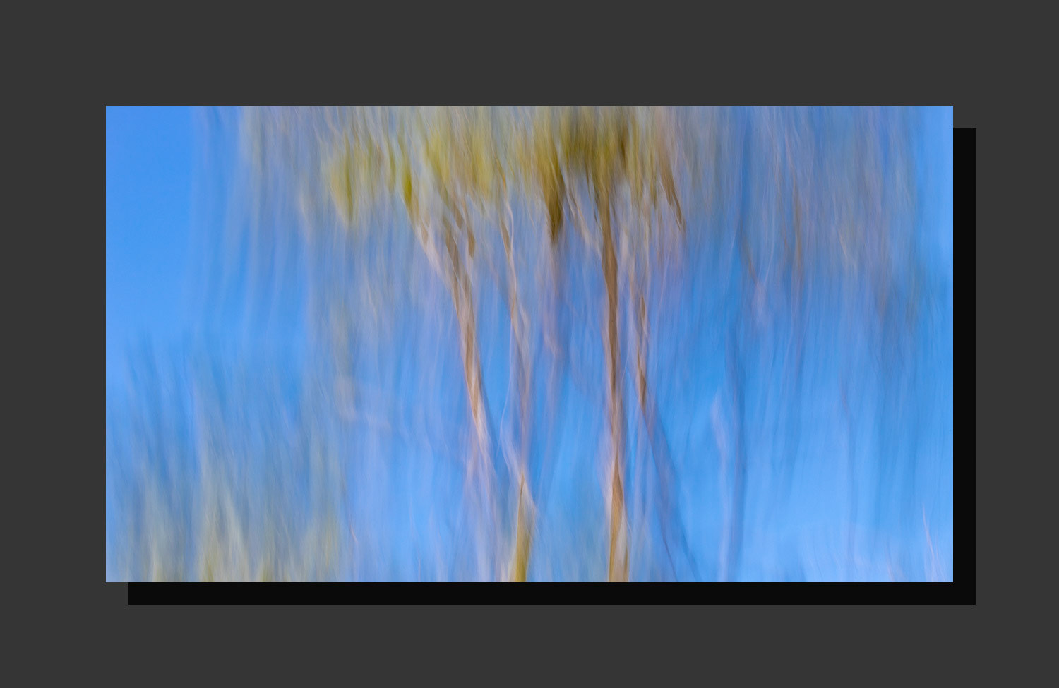 Dreaming of Trees