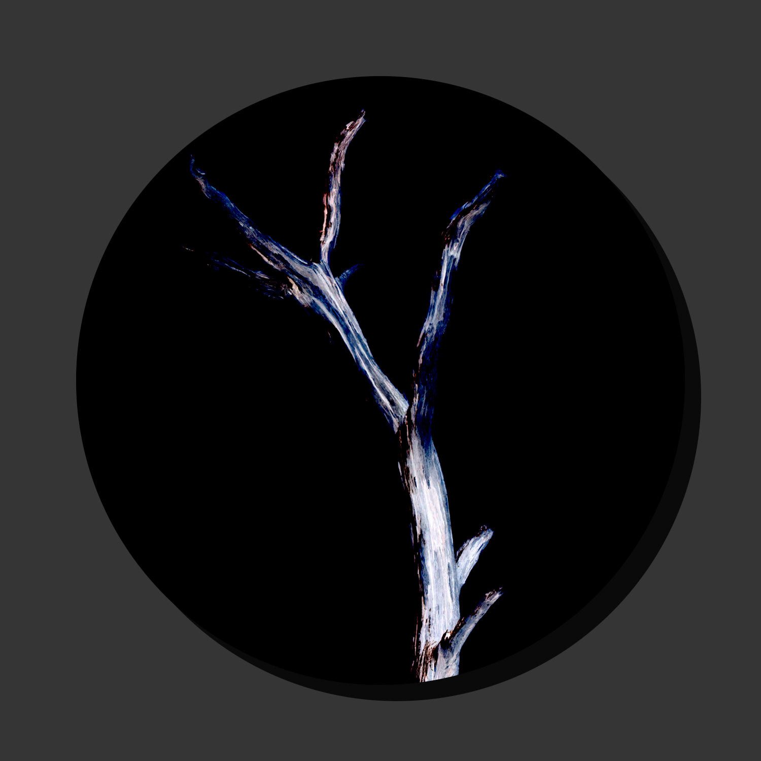 Tree on Black