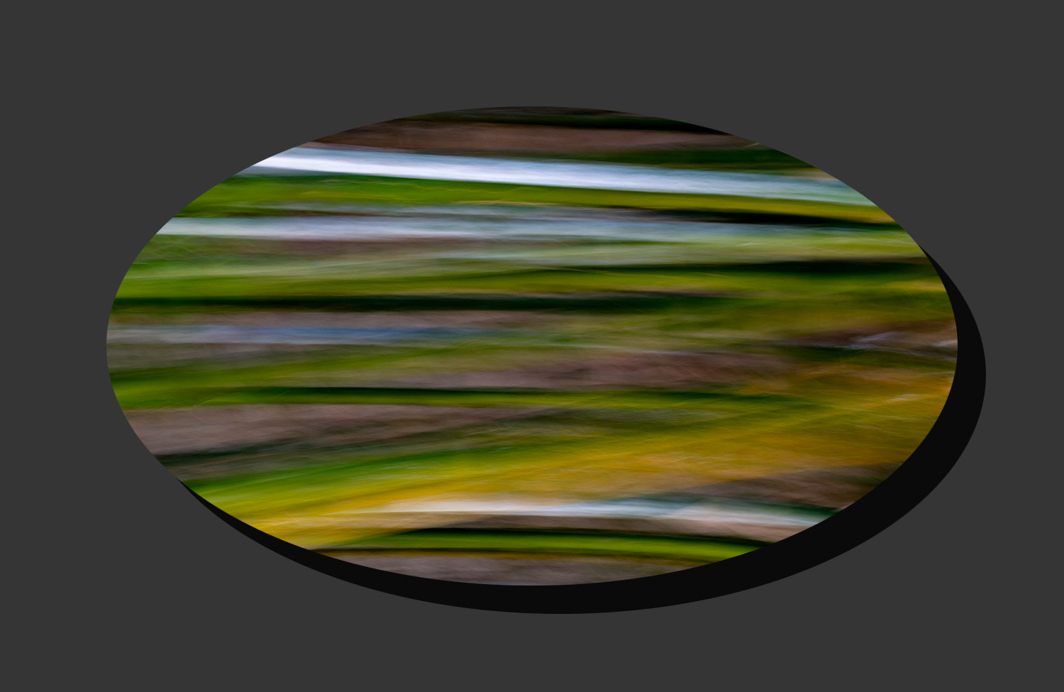Bamboo