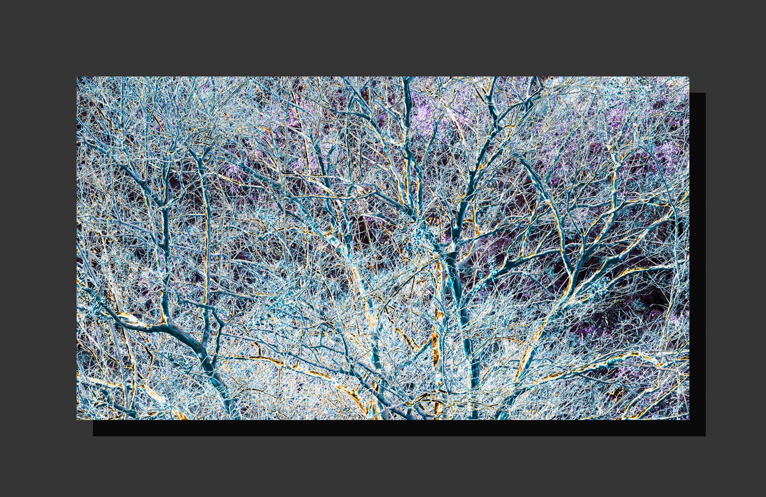 Entwined