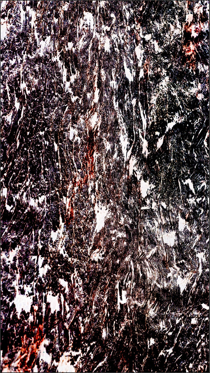 Shedding Tree No. 16