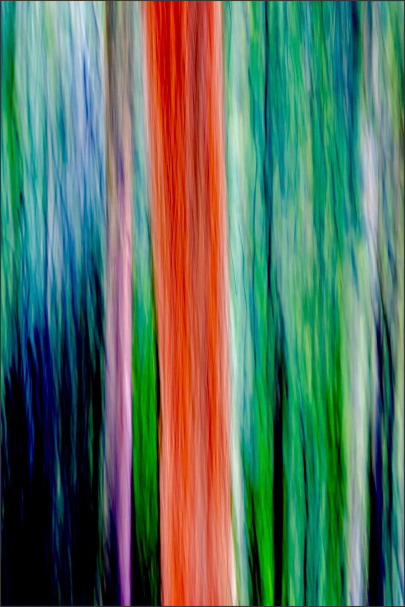 Reaching Up