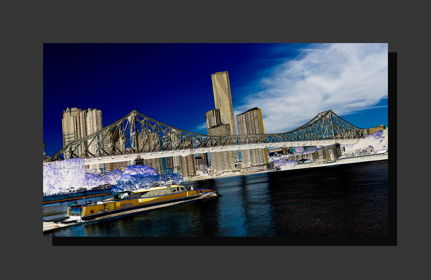 Citycat No. 4