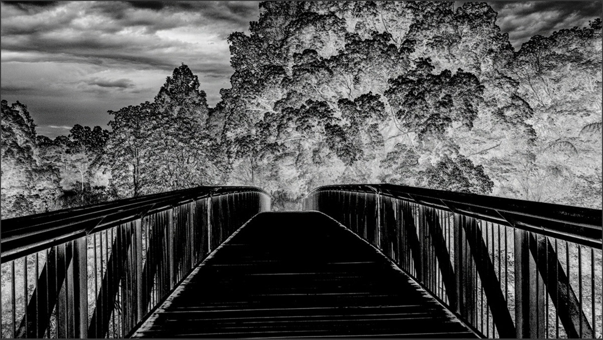 The Bridge No. 1