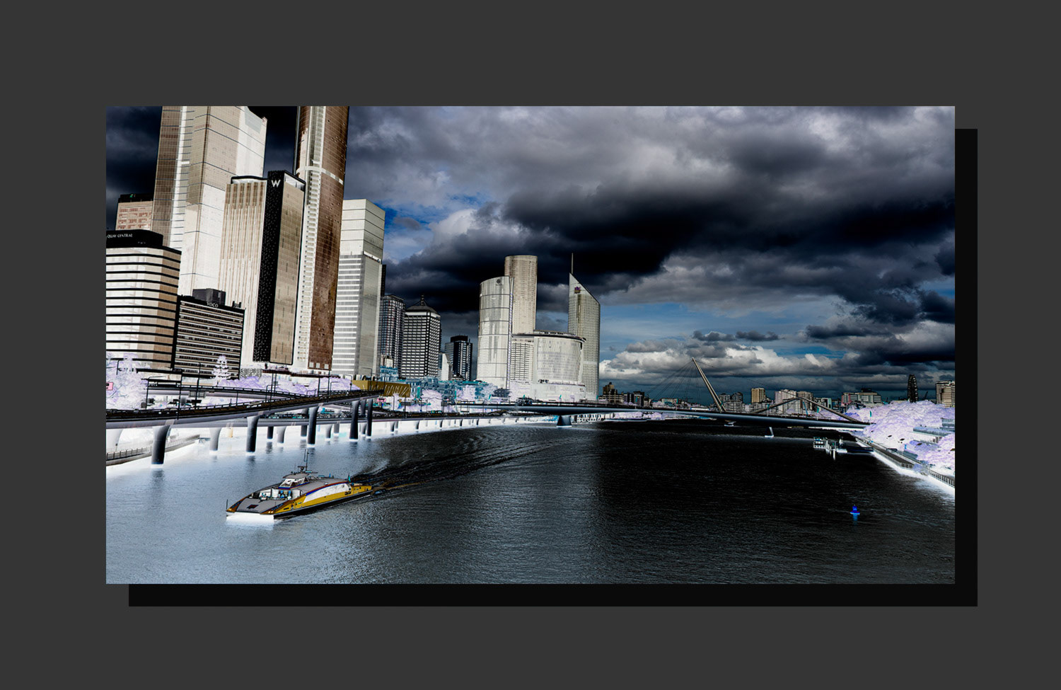 Citycat No. 6