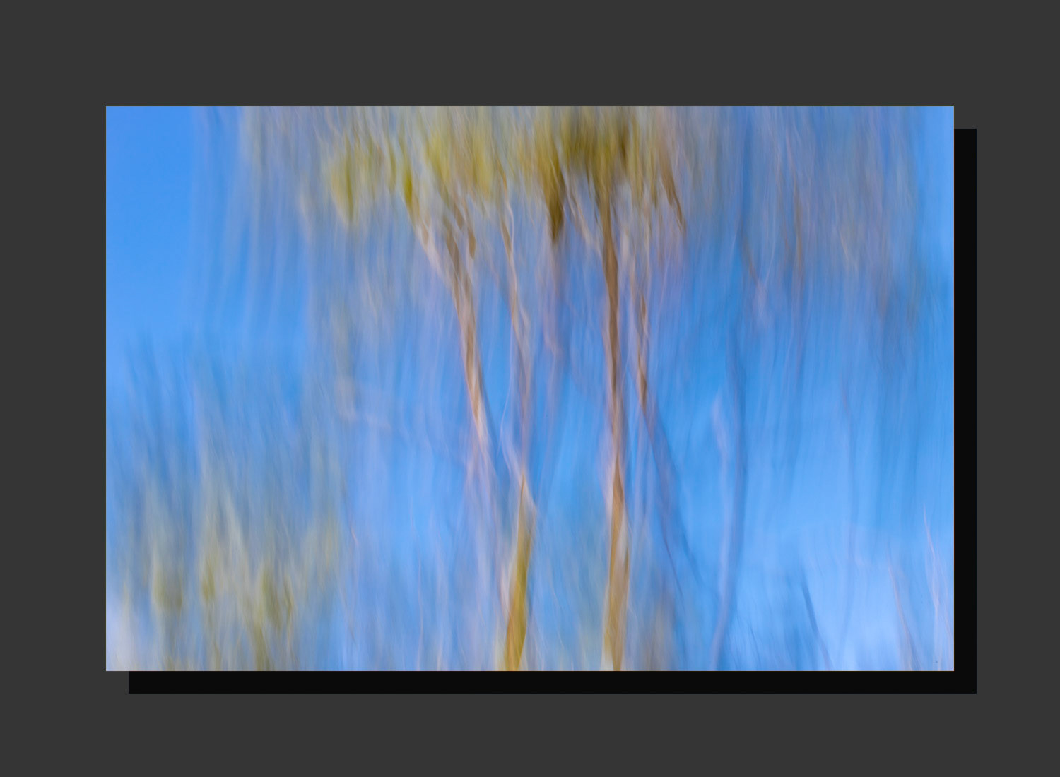 Dreaming of Trees