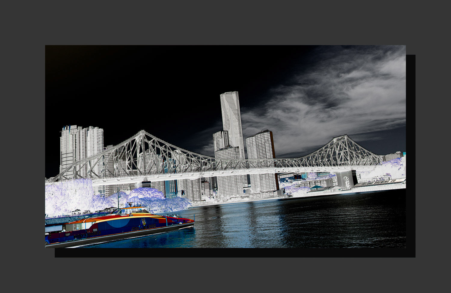 Citycat No. 5