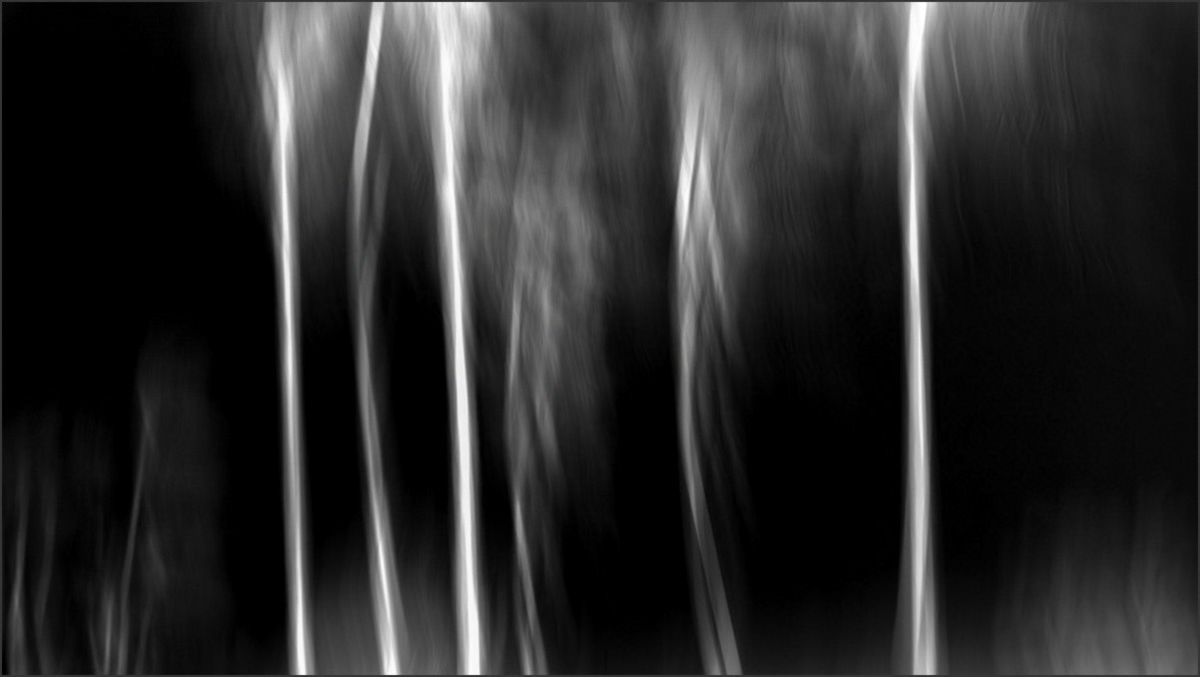 Tree Glow