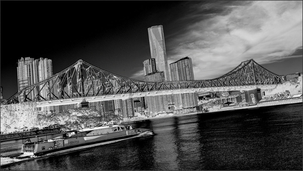 Citycat No. 3