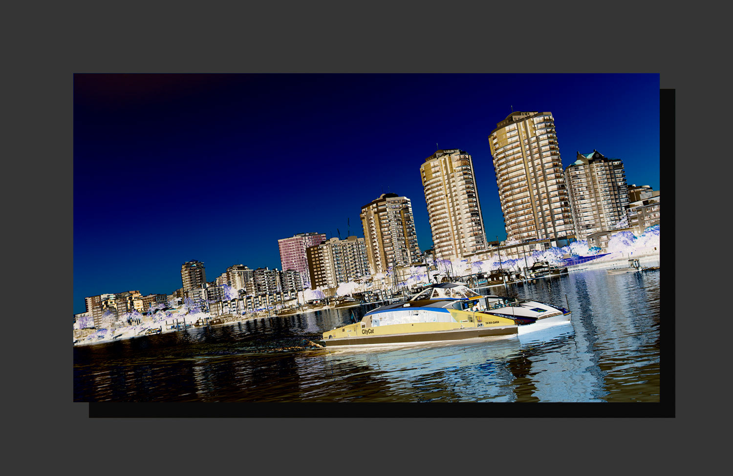 Citycat No. 7