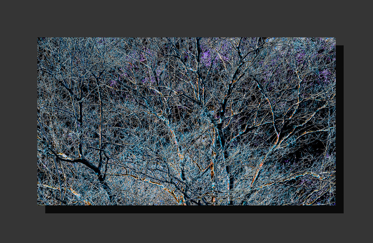 Entwined