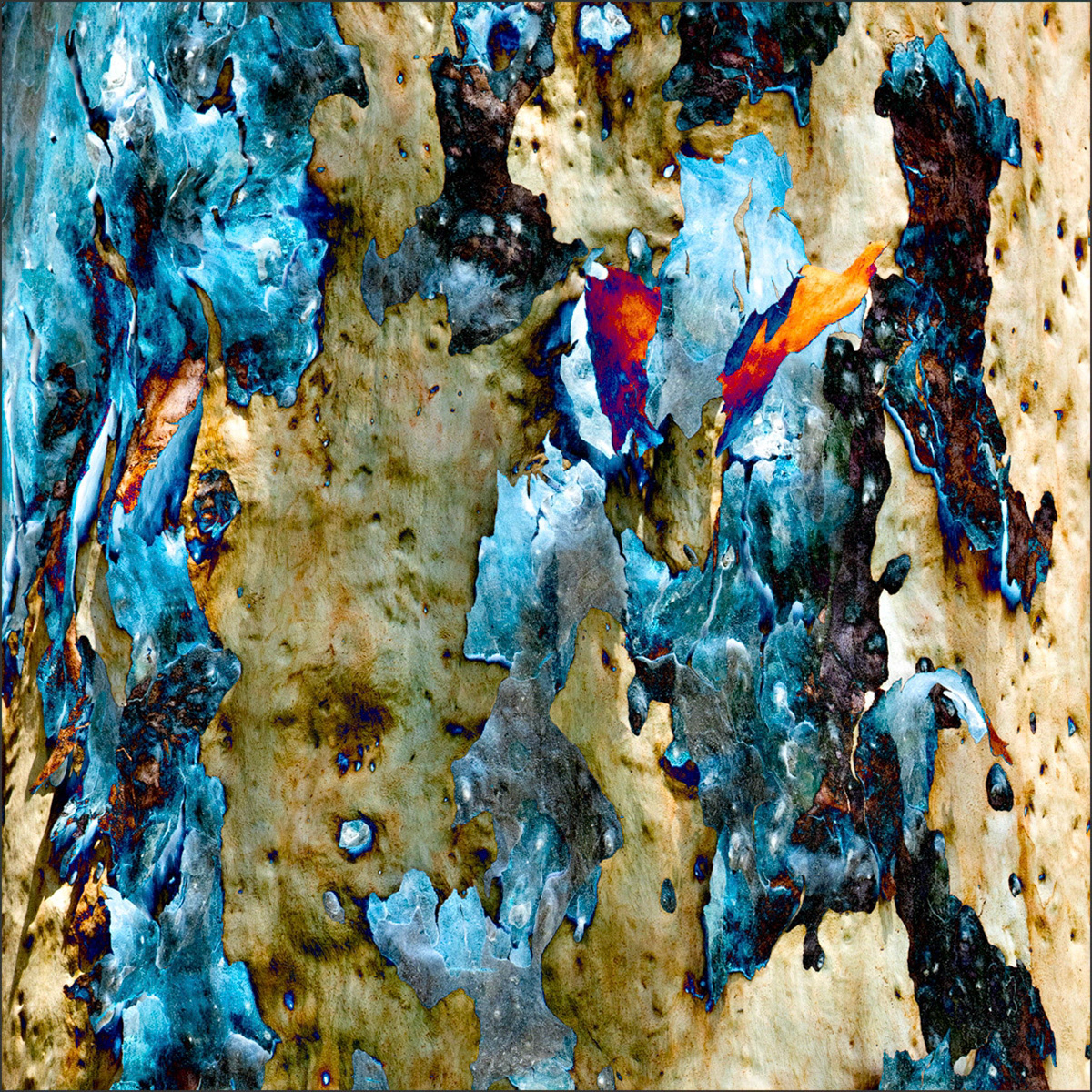 Shedding Tree No. 7