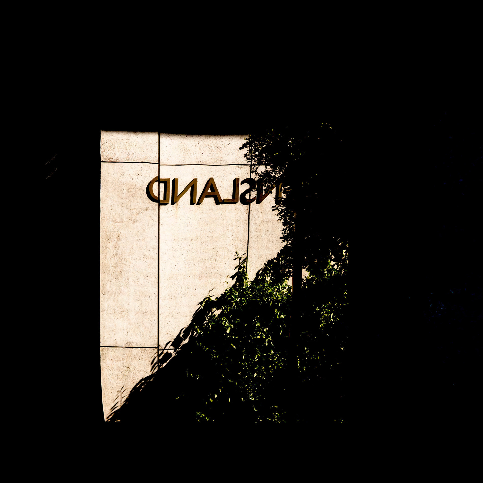 Reflections No. 1