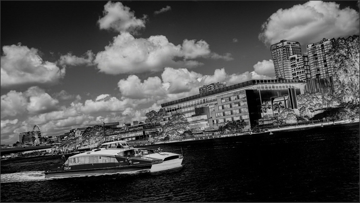 Citycat No. 2