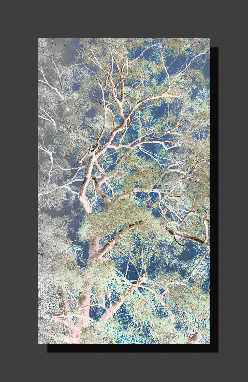 Gum Tree