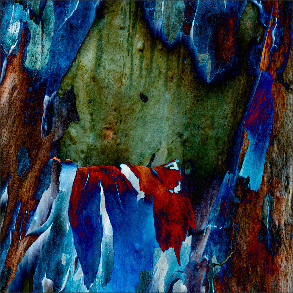 Shedding Tree No. 6