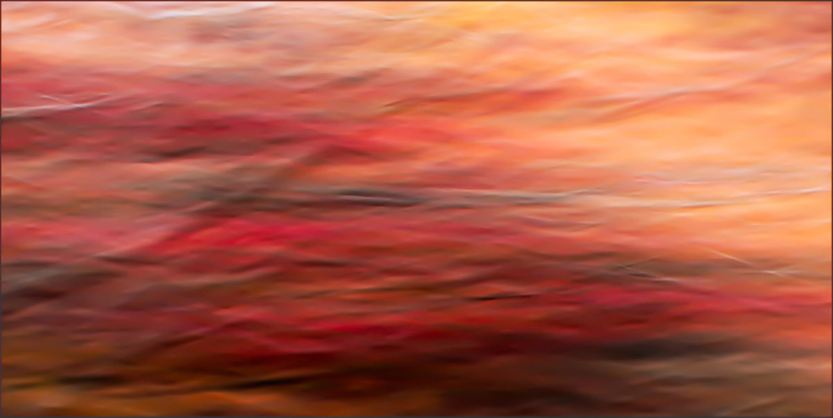 Autumn Colours