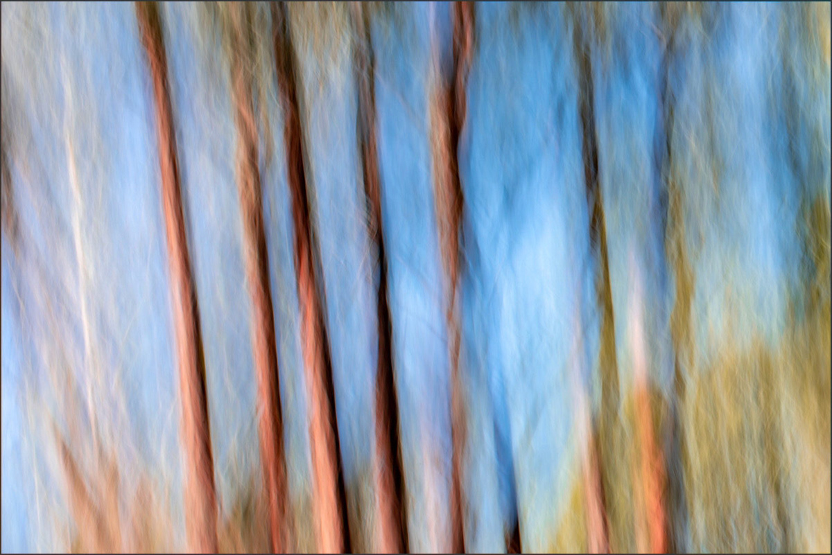 Orange Poles