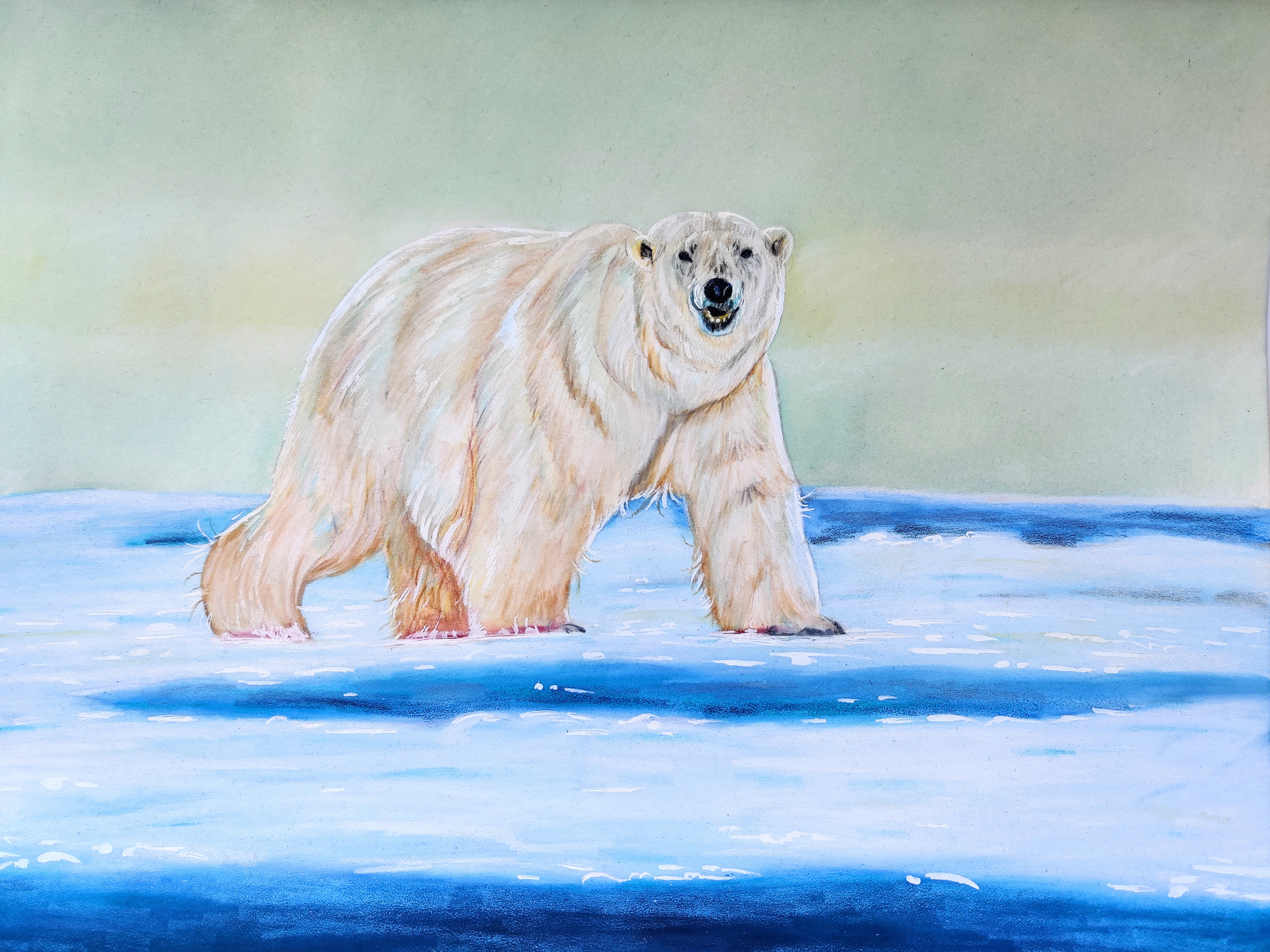 30x42cm Original drawing €170,-