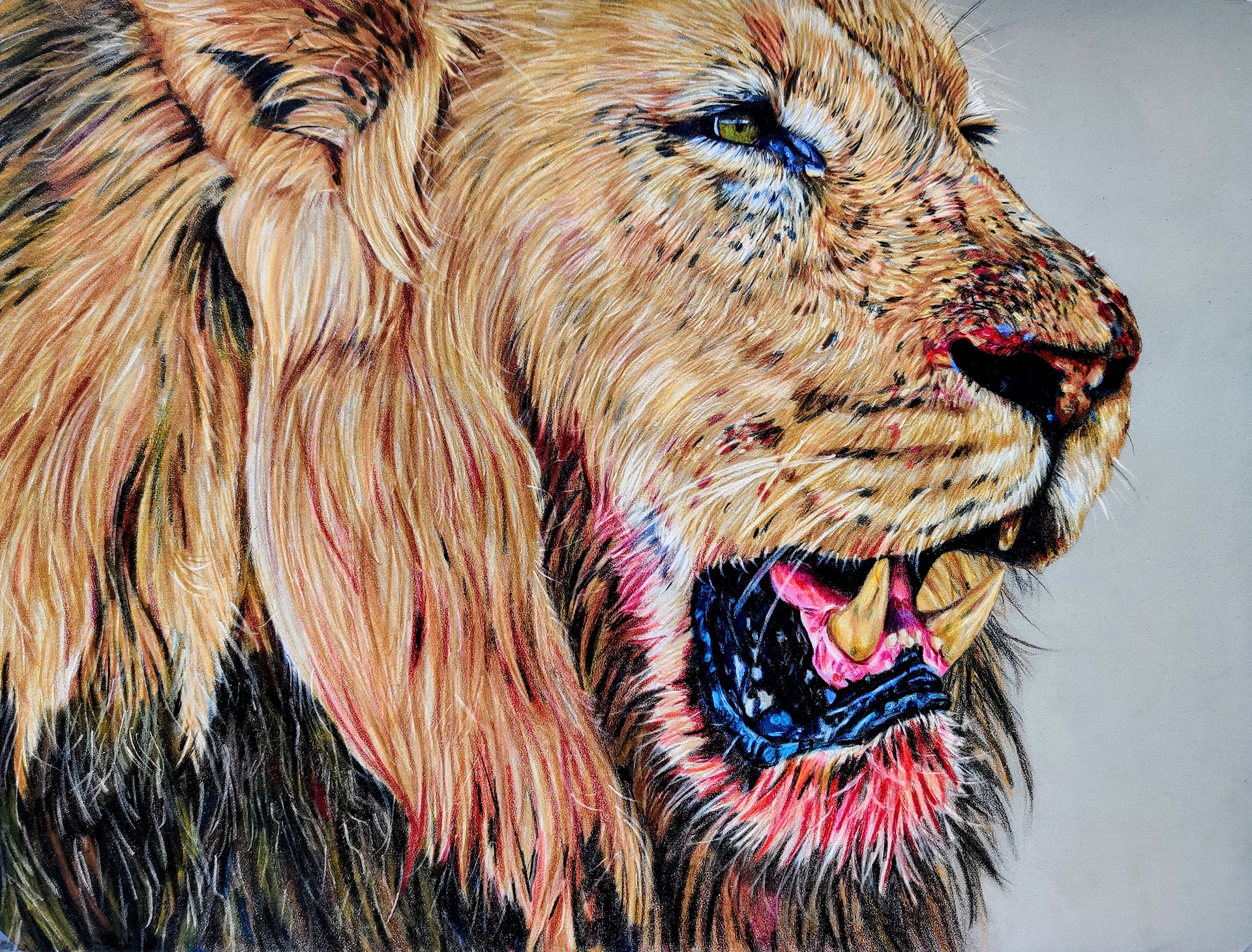30x42cm Original drawing €220,-