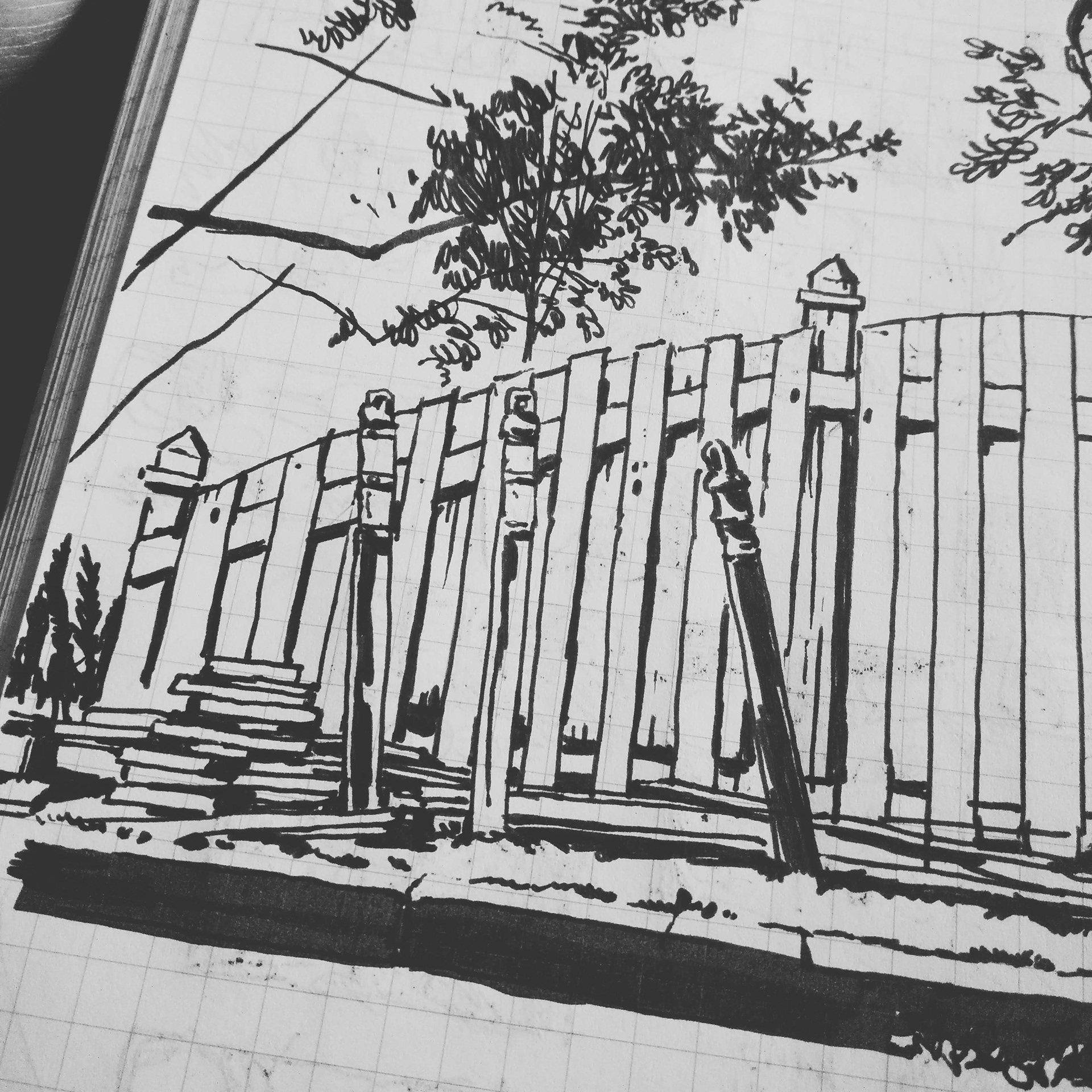 Trees of my Neighborhood