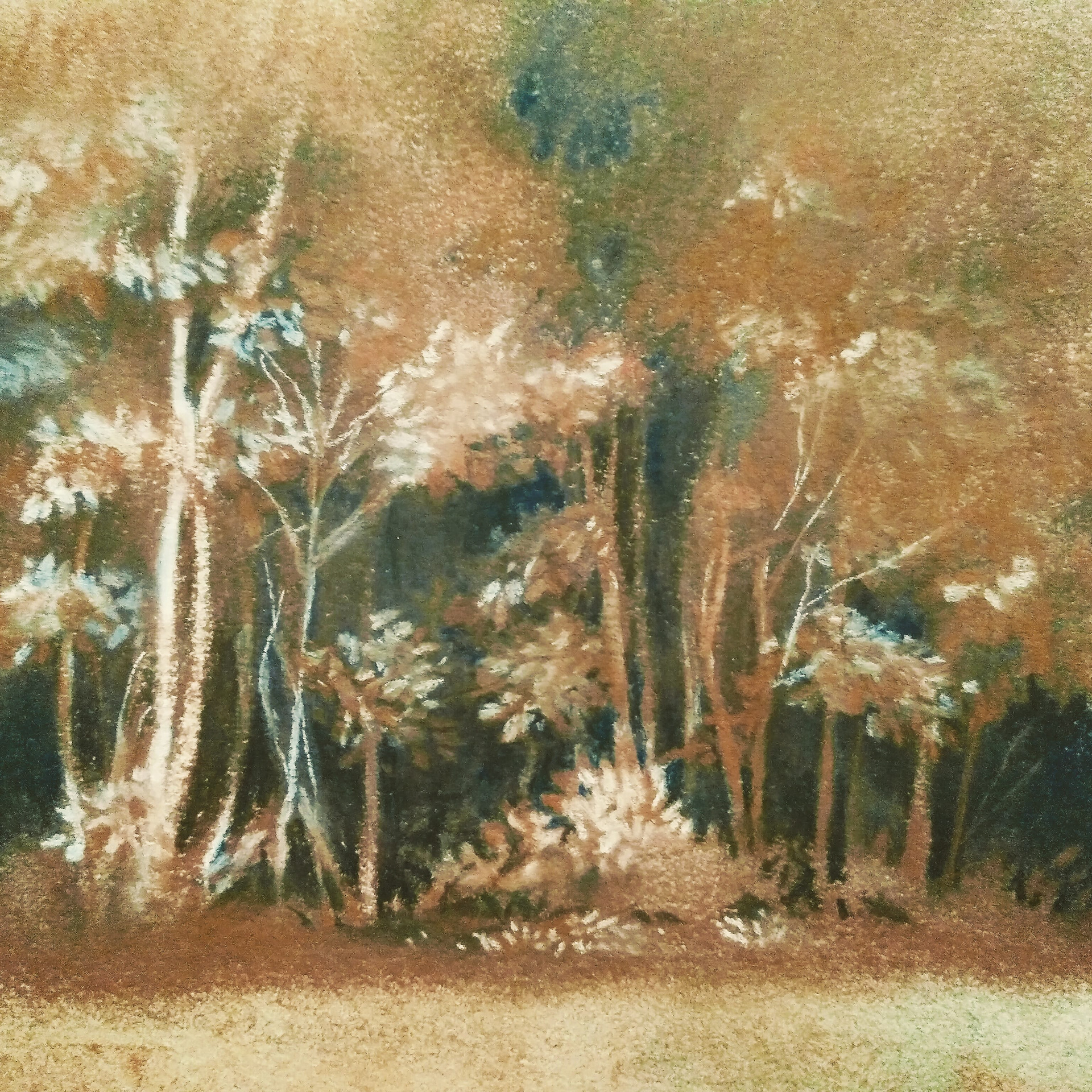 Trees of my Neighborhood